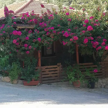 Elena'S House Sivota Lefkadas Exterior photo